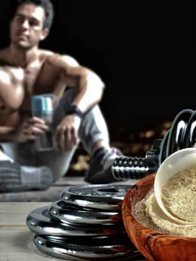 Top Protein Powders for Post-Workout Muscle Recovery